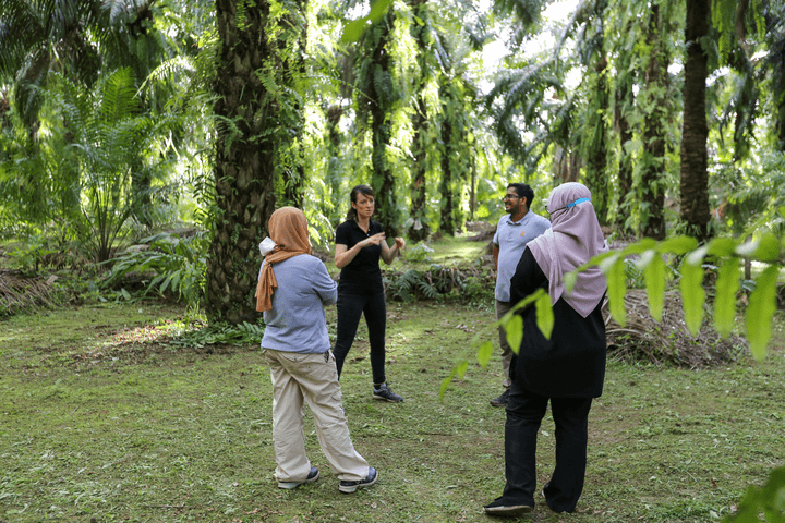 The Sabah Landscapes Programme 