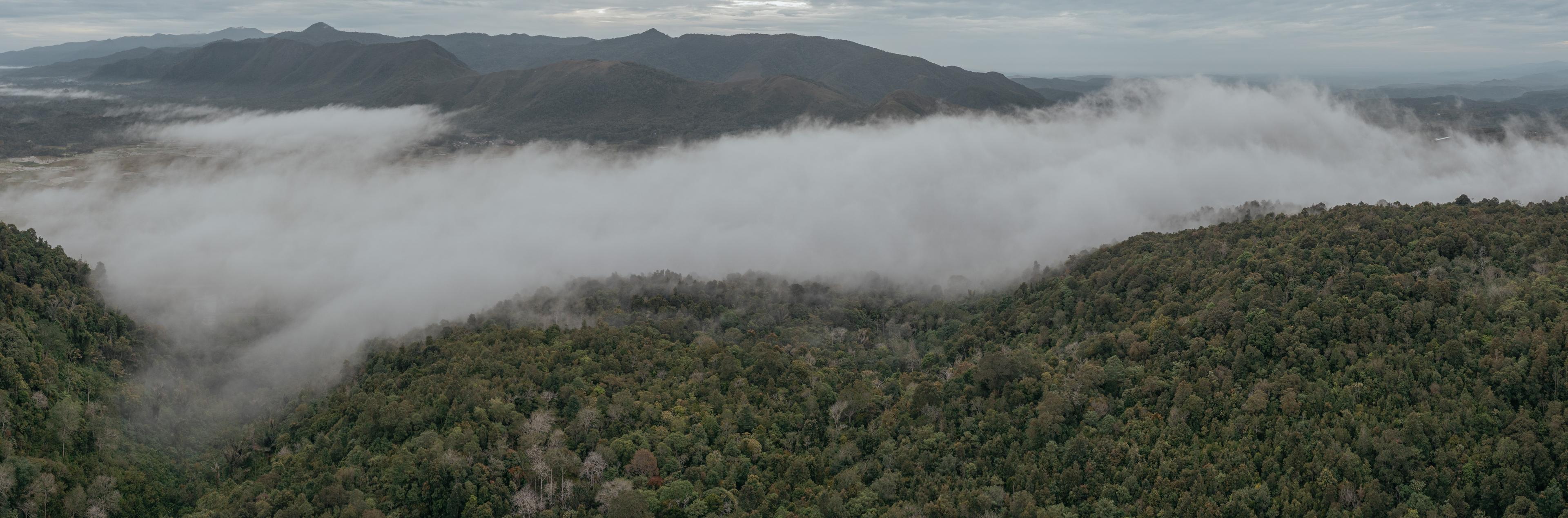 Tapanuli Selatan Landscape Initiative