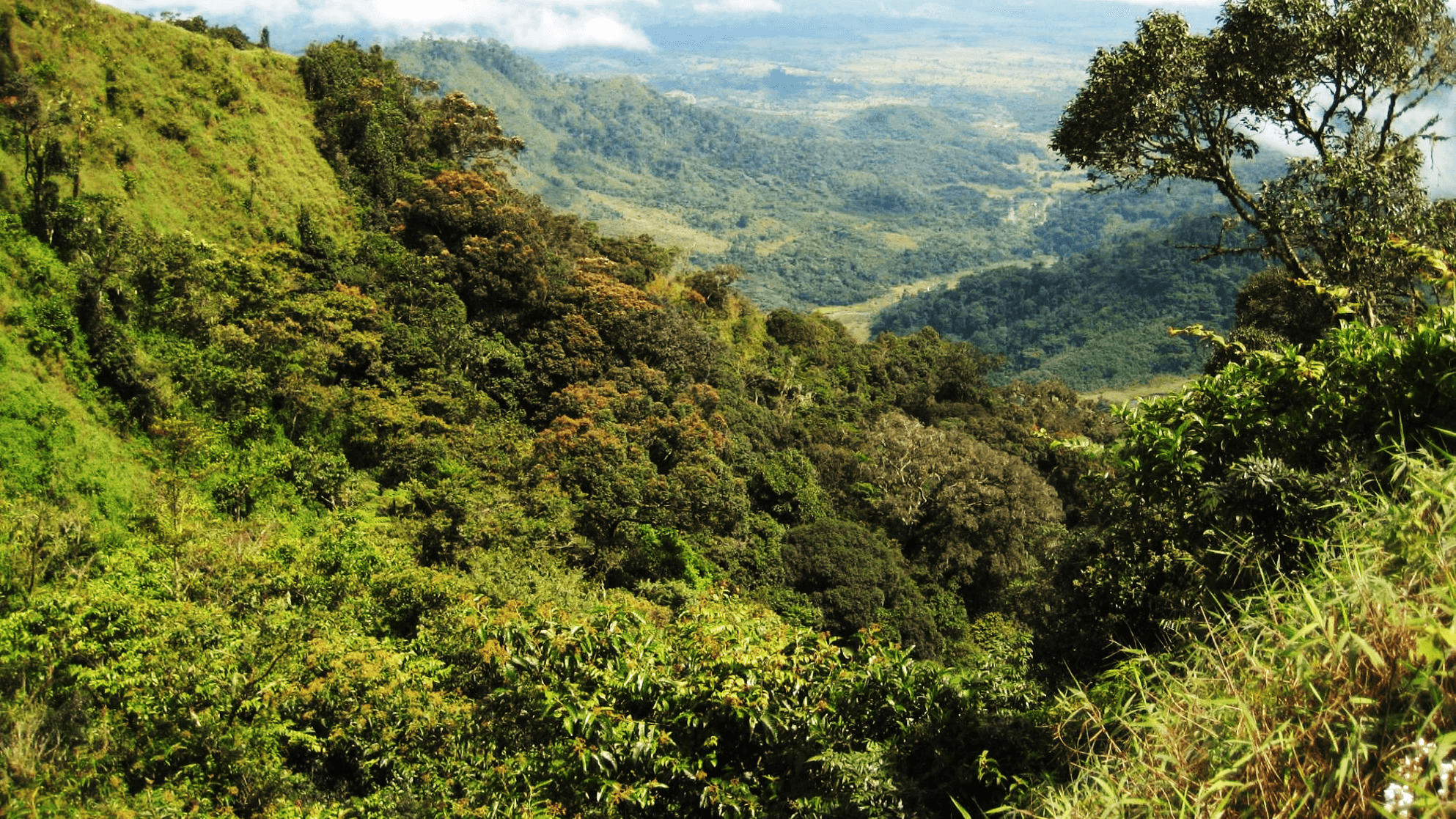 IDH and partners launch the first PPI Compact in Colombia
