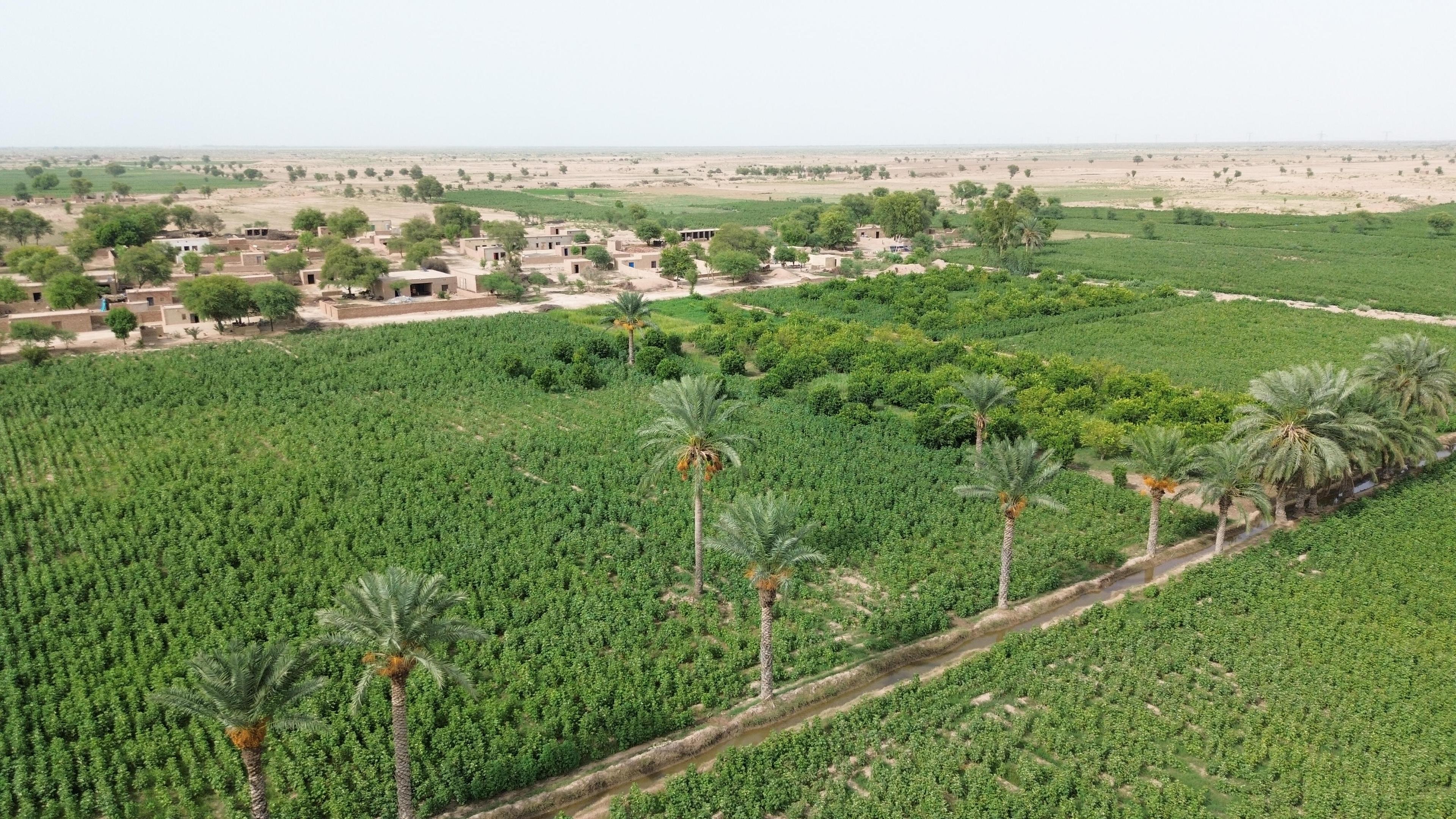 Regenerative Pakistan