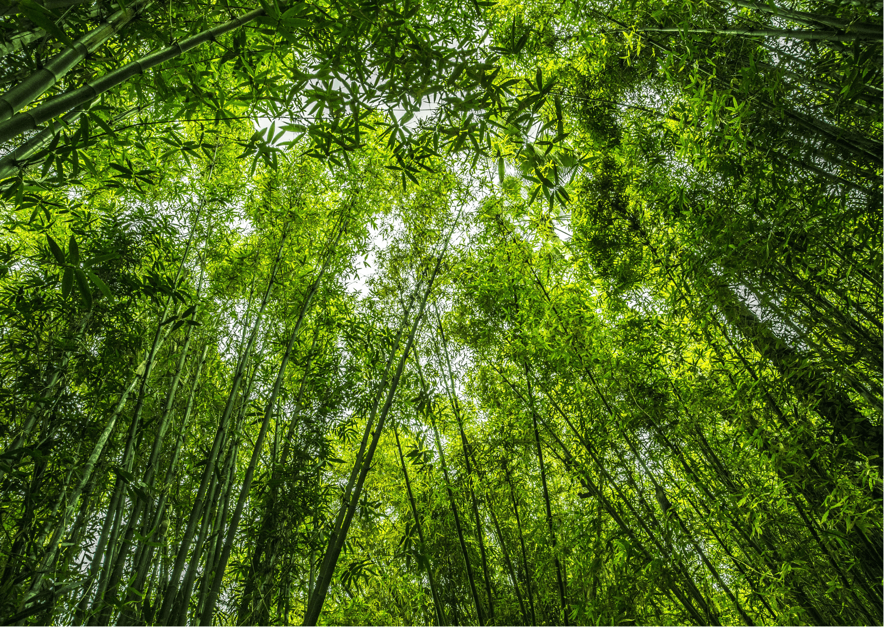 Towards Sustainable Autonomy for the Cavally Landscape Platform 