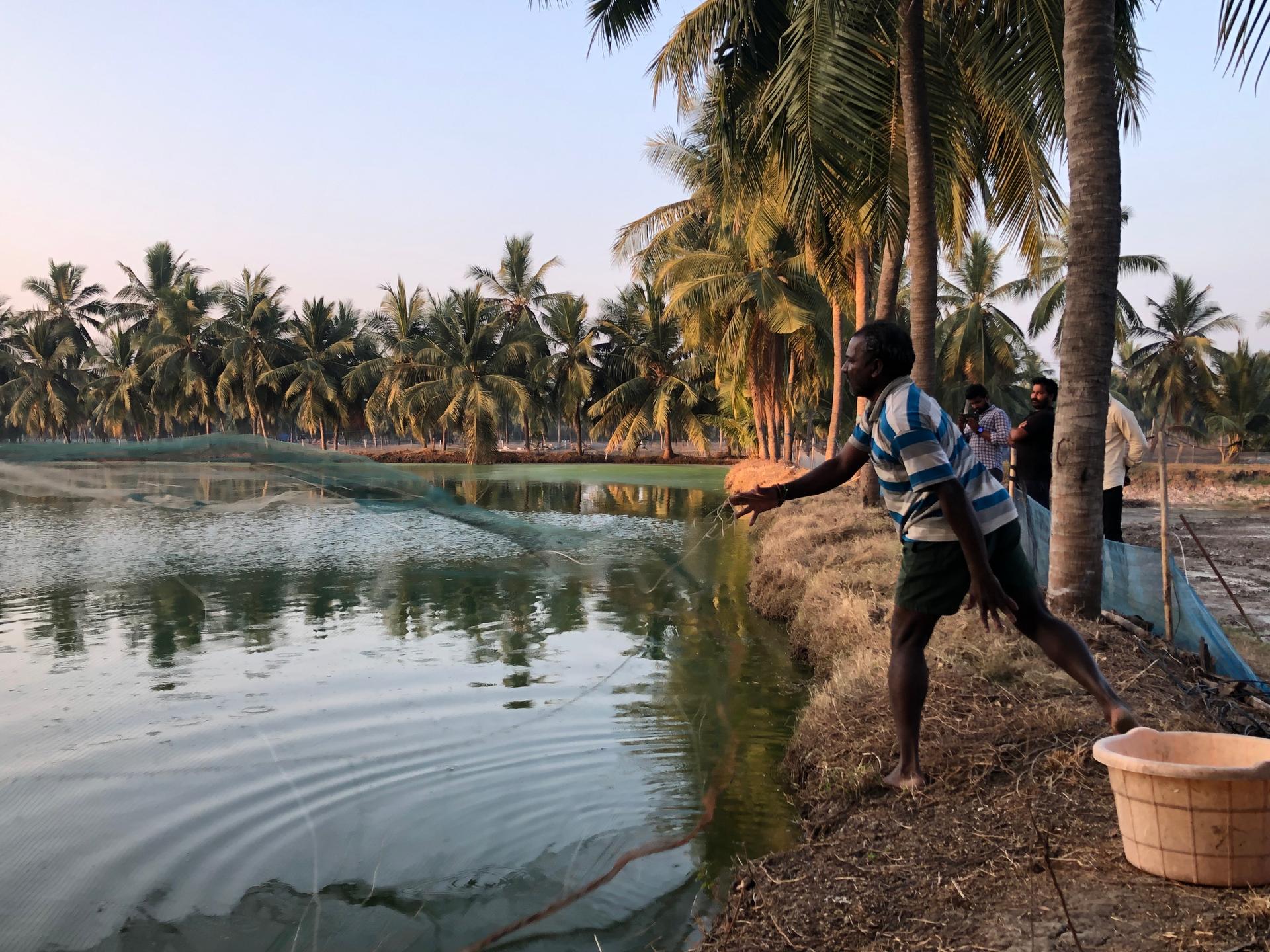 ASC Gossip Gills Podcast - The Power of Jurisdictional Approaches in Sustainable Seafood Farming