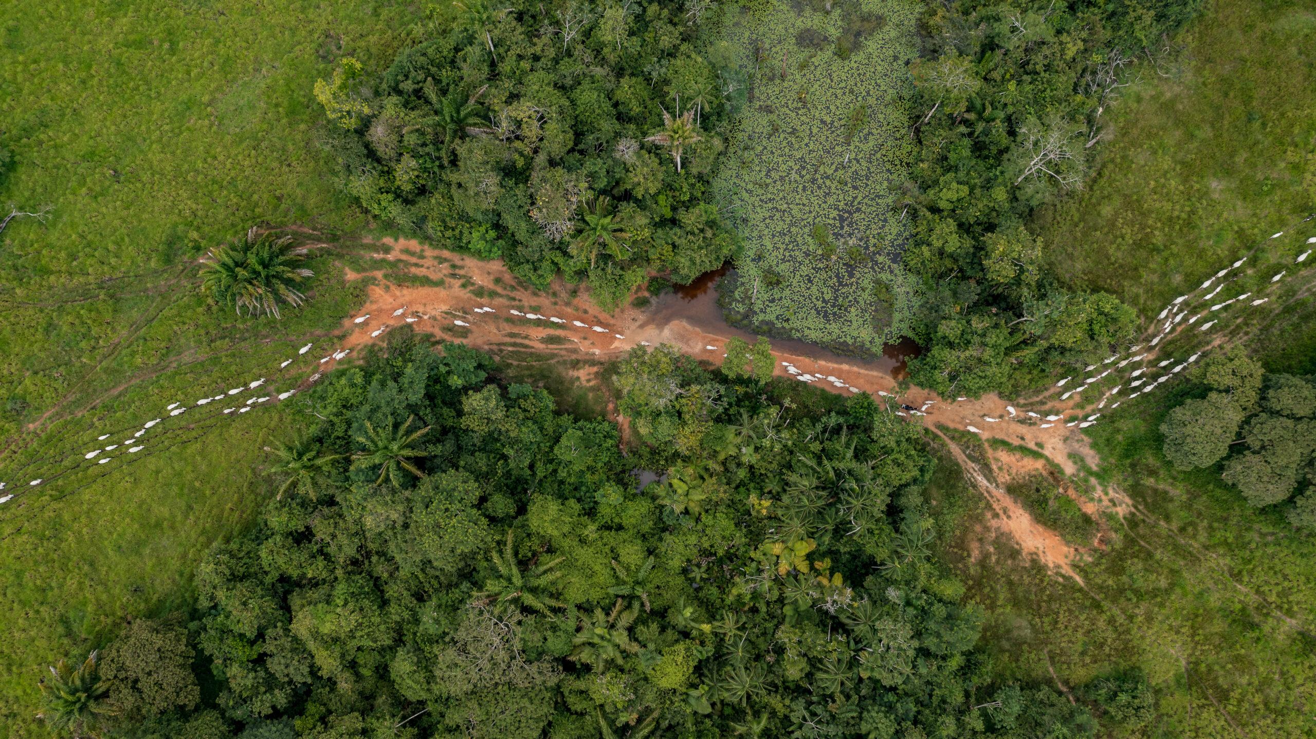 World Bank supports sustainable development of family farming in Mato Grosso, Brazil