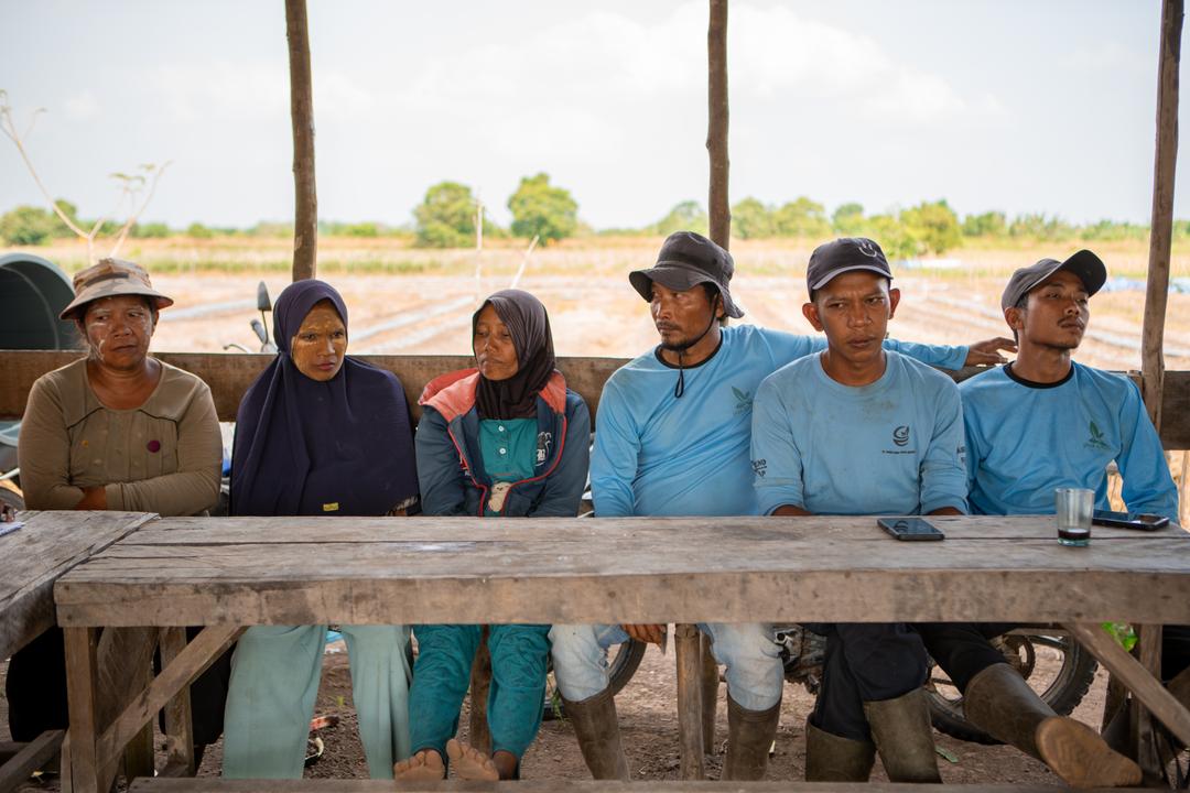 PT MAL Farmers-Group