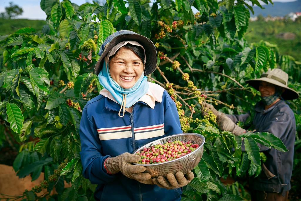 Dutch-Vietnamese collaboration for sustainable growth in Vietnam's coffee industry