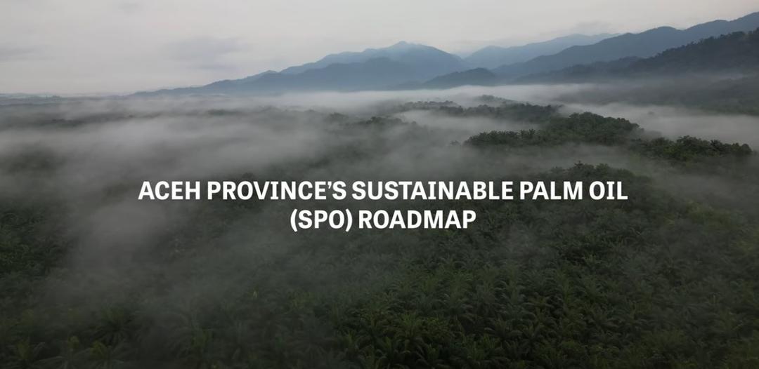 ACEH SUSTAINABLE PALM OIL ROADMAP - see link to the video in the text below