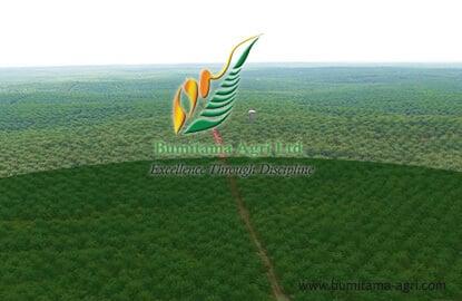 Bumitama Agri Ltd.