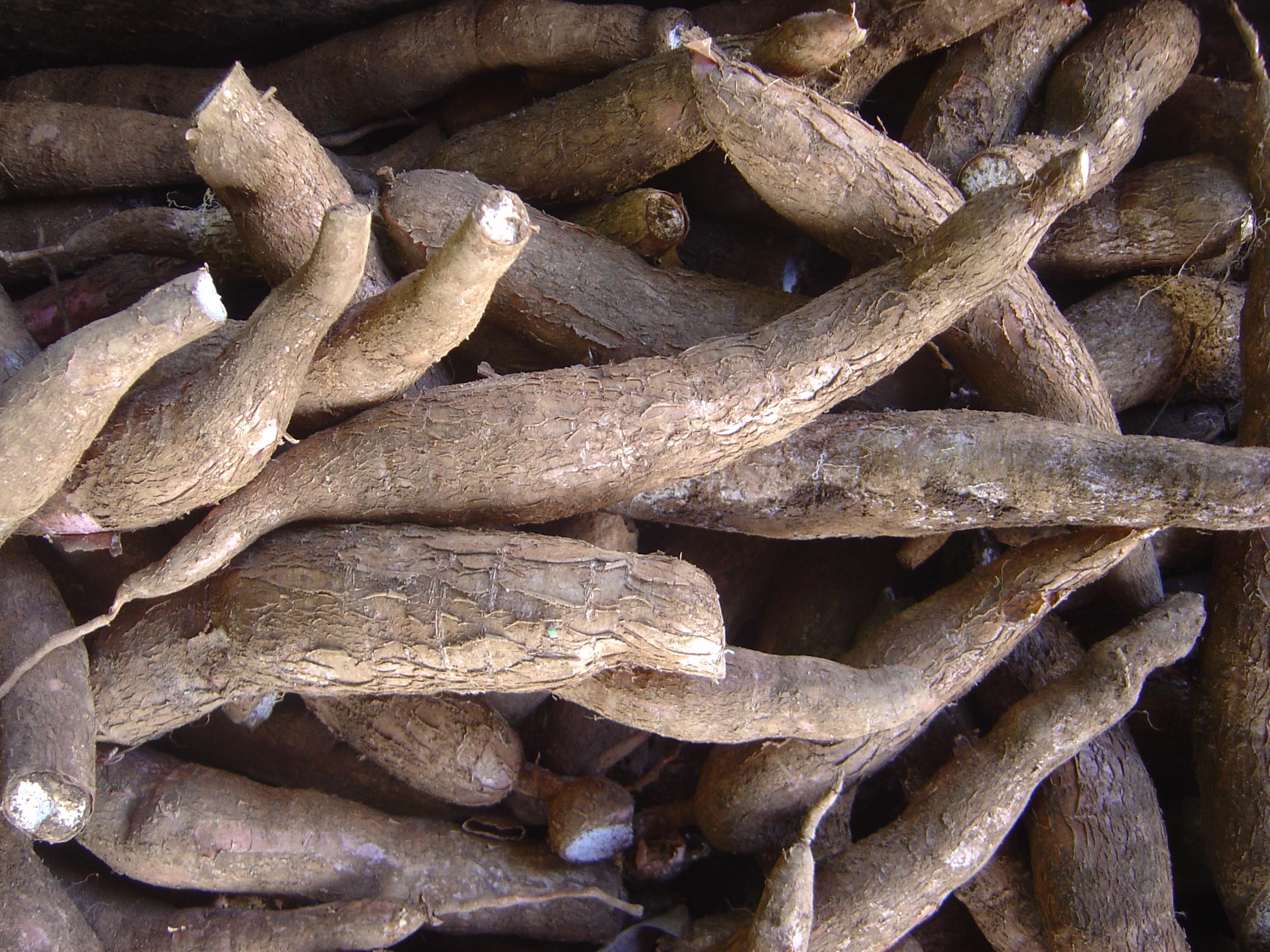 Vegetables, Roots and Tubers