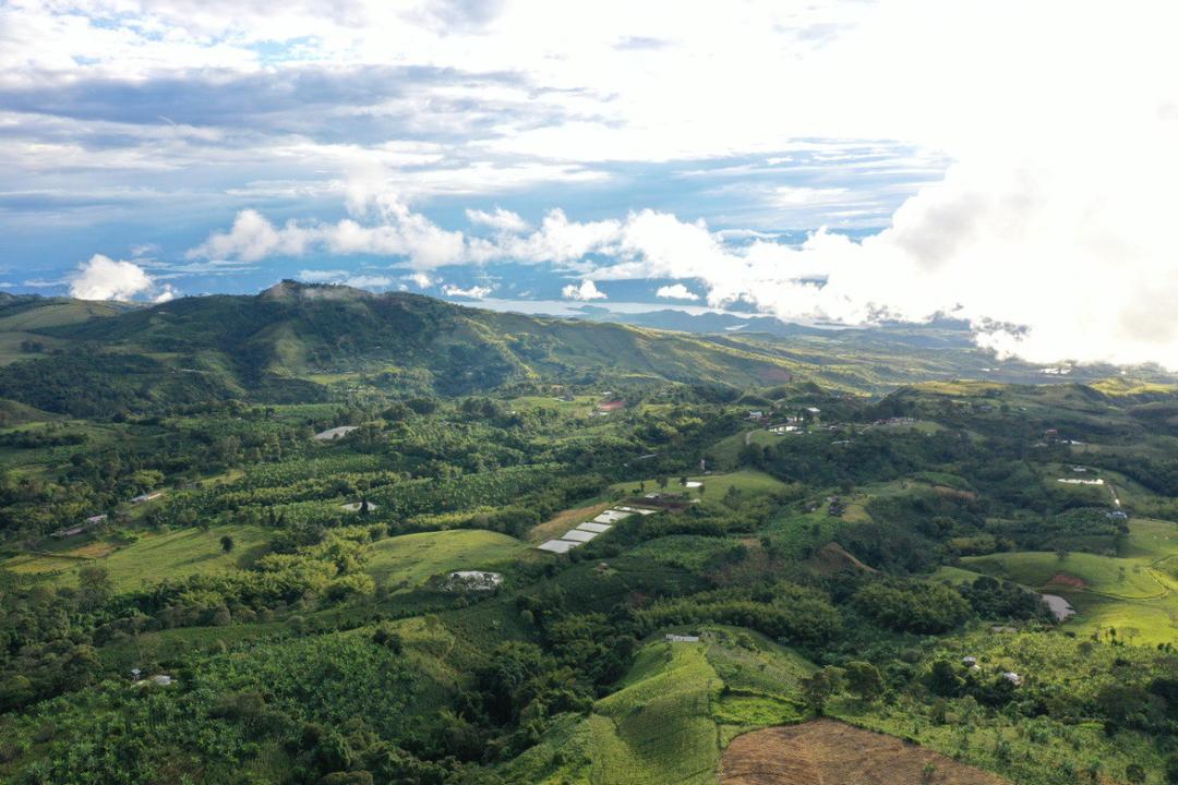 Landcape HYLEA Andean-Amazonian Corridor