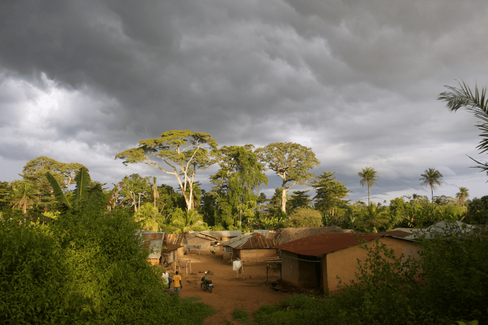 planting cocoa in the savannah to combat deforestation and climate change in Foya