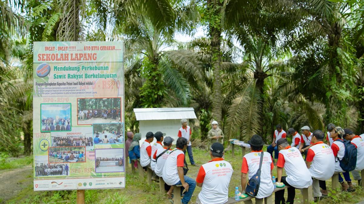 Sustainable Landscape Initiative in Kutai Timur (SUSTAIN KUTIM)