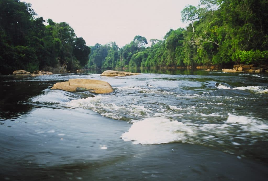 Juruena River