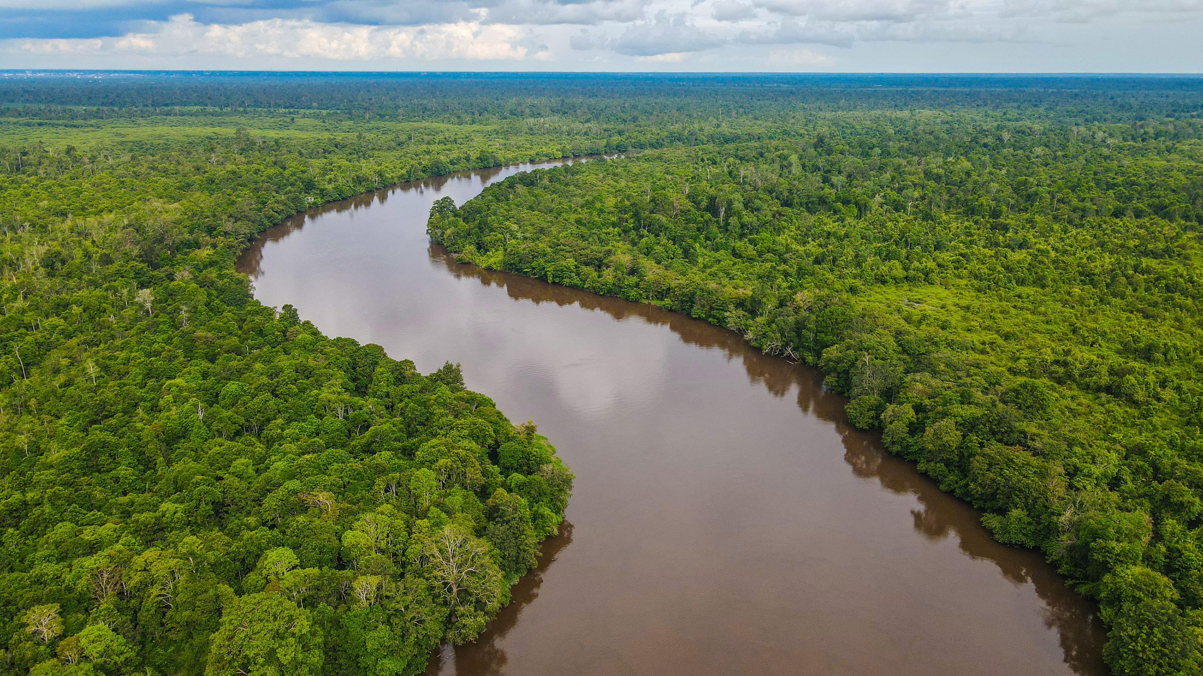 The Mosaik Initiative