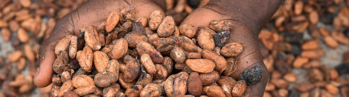 Roadmap to Deforestation-free Cocoa in Cameroon