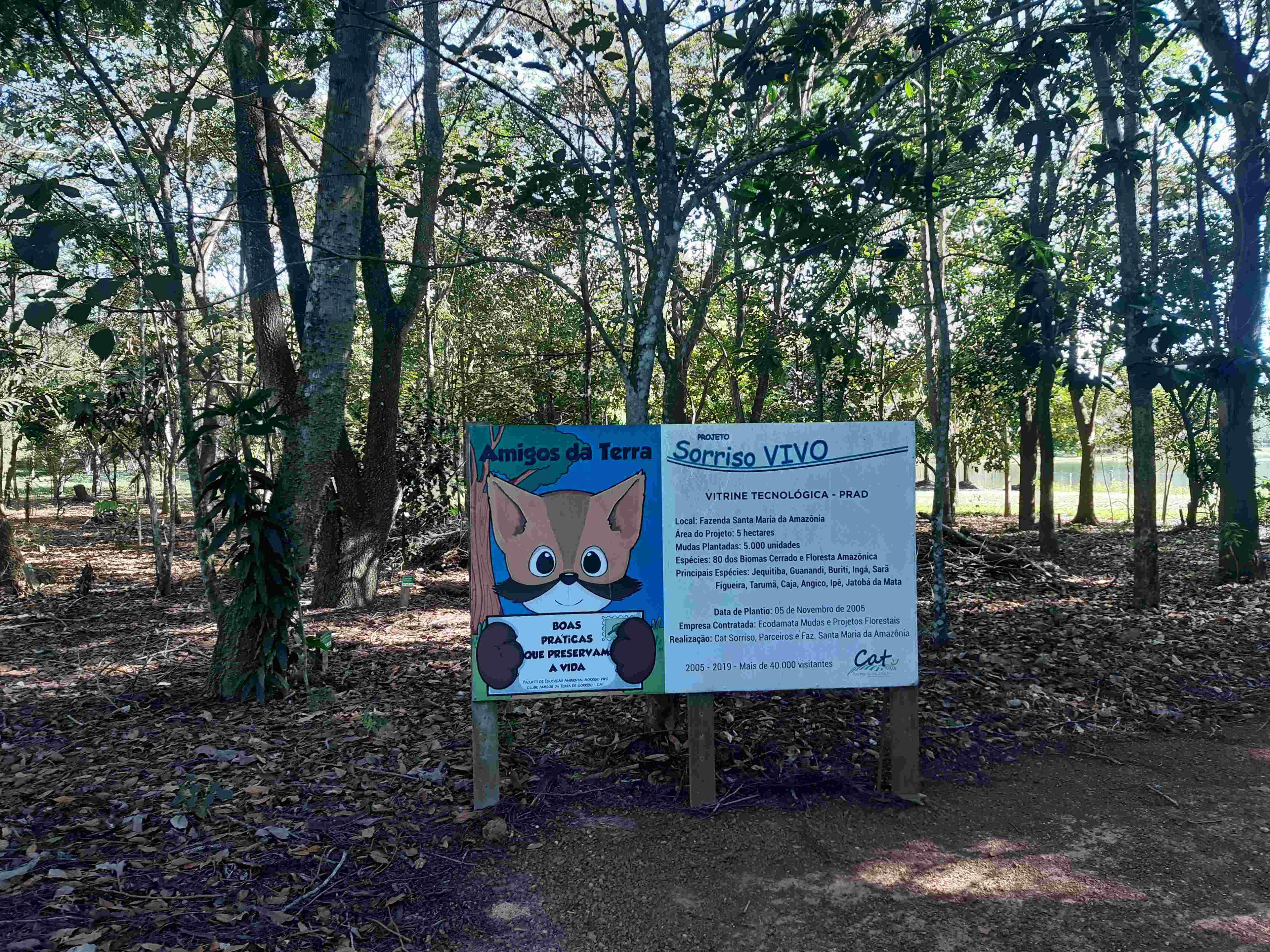 Paysage de Sorriso