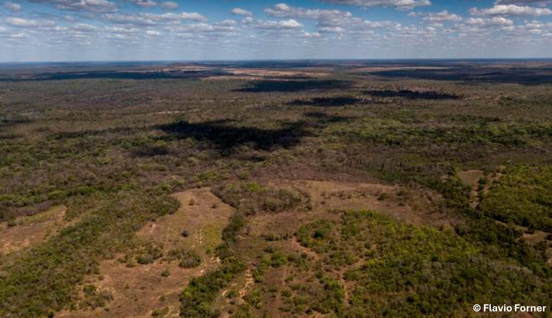 Élaboration d’une approche juridictionnelle pour des paysages agricoles résilients et intelligents face au climat à Tocantins, au Brésil