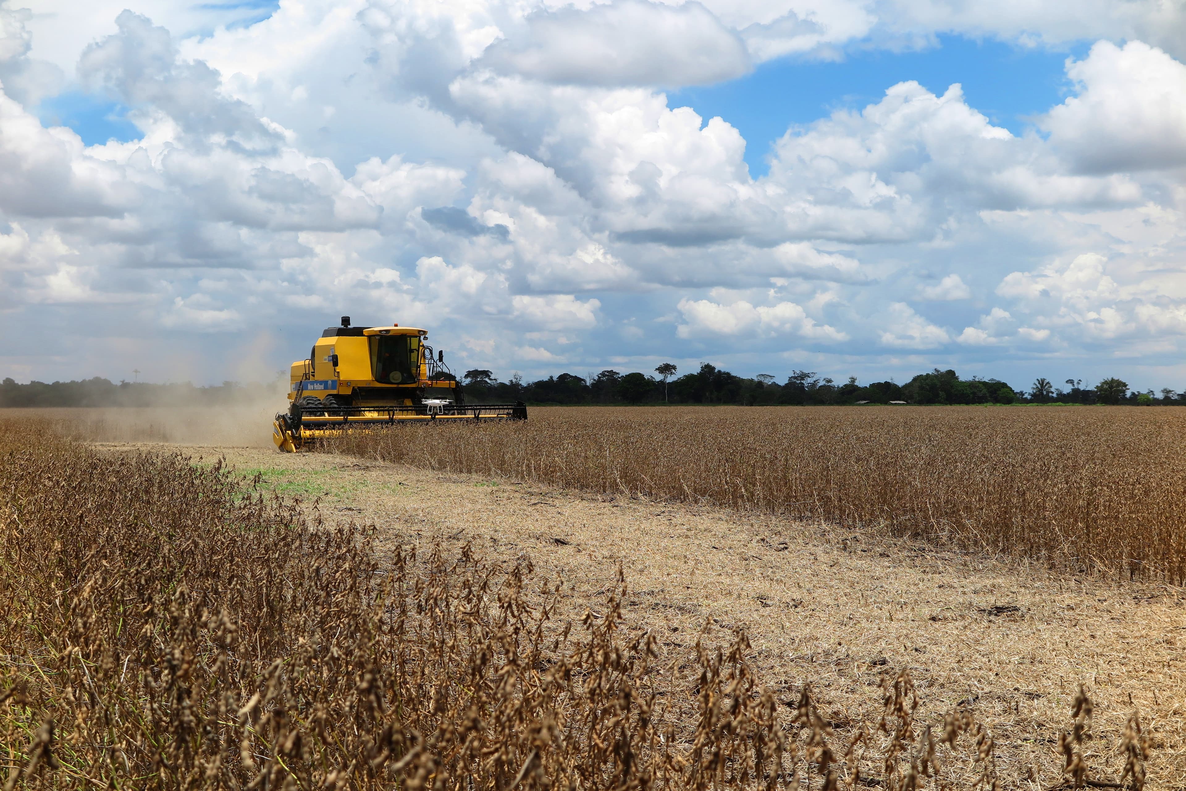 Sorriso PCI Compact creates a safe environment for investors interested in responsible soybean production