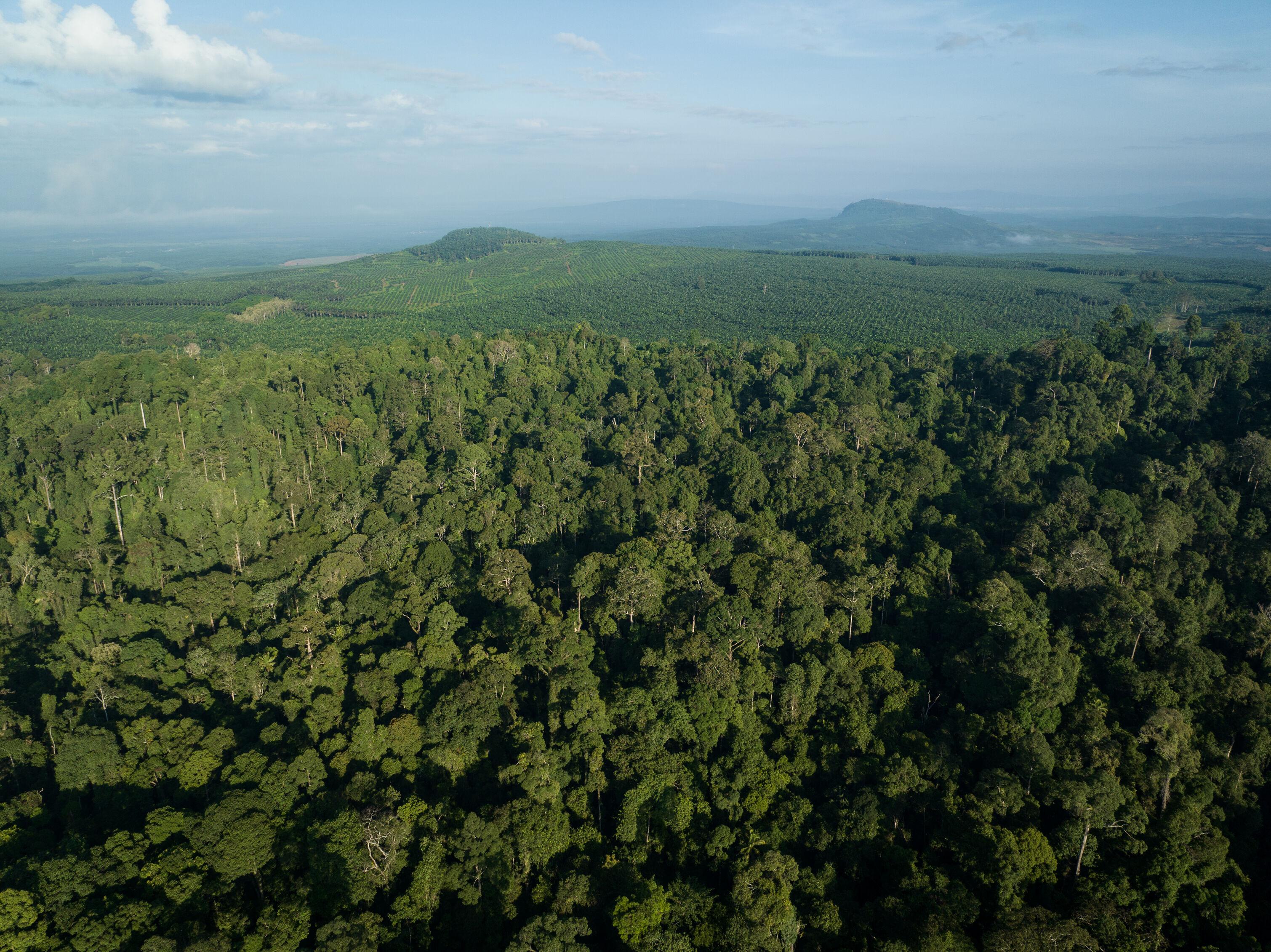 Tawau-Kunak Landscape