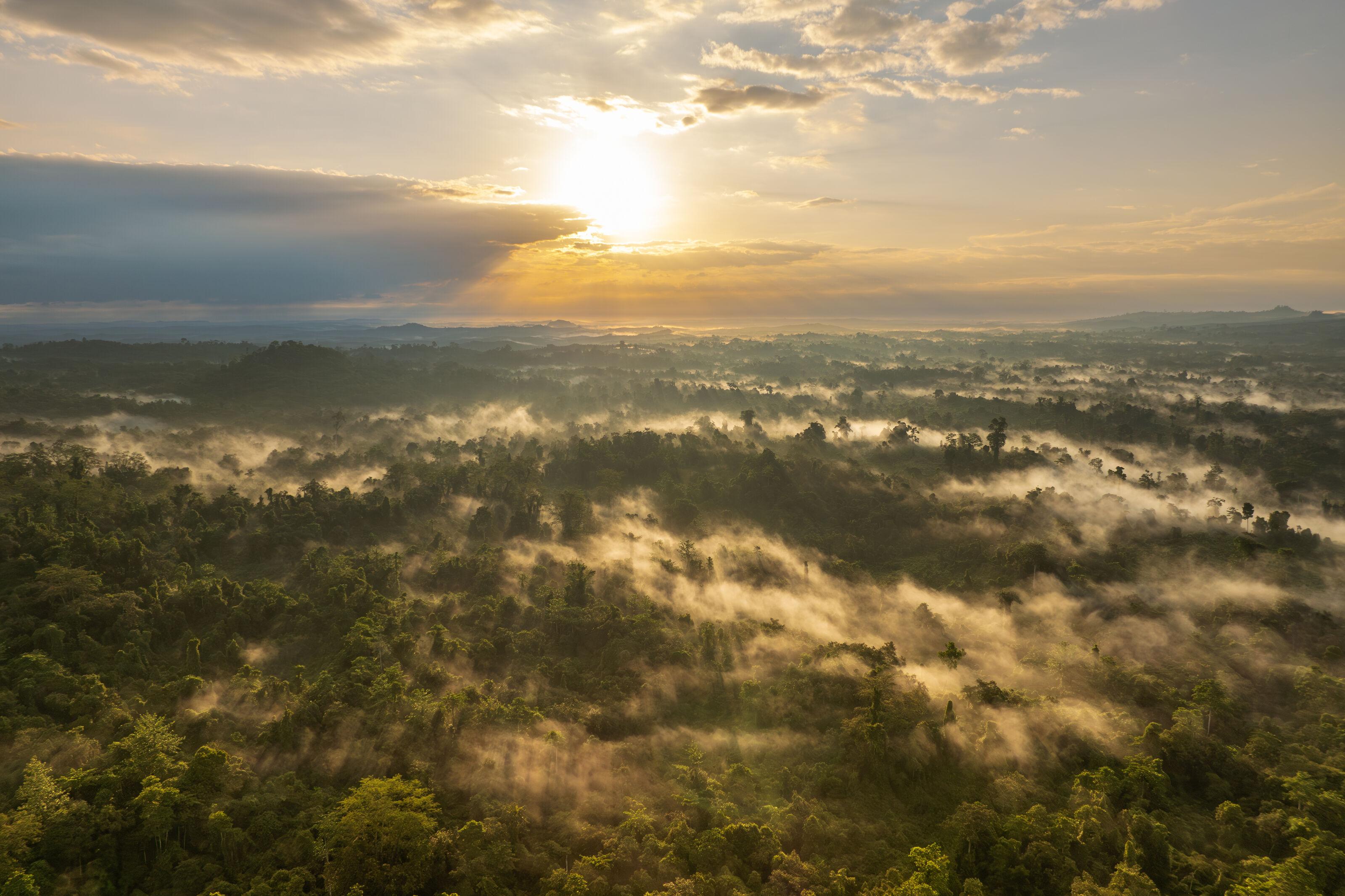 WWF MY: Sabah Landscapes Programme