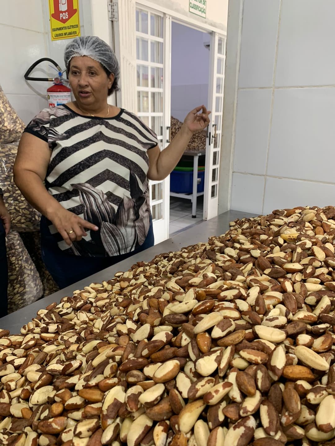 Brazil Nuts 