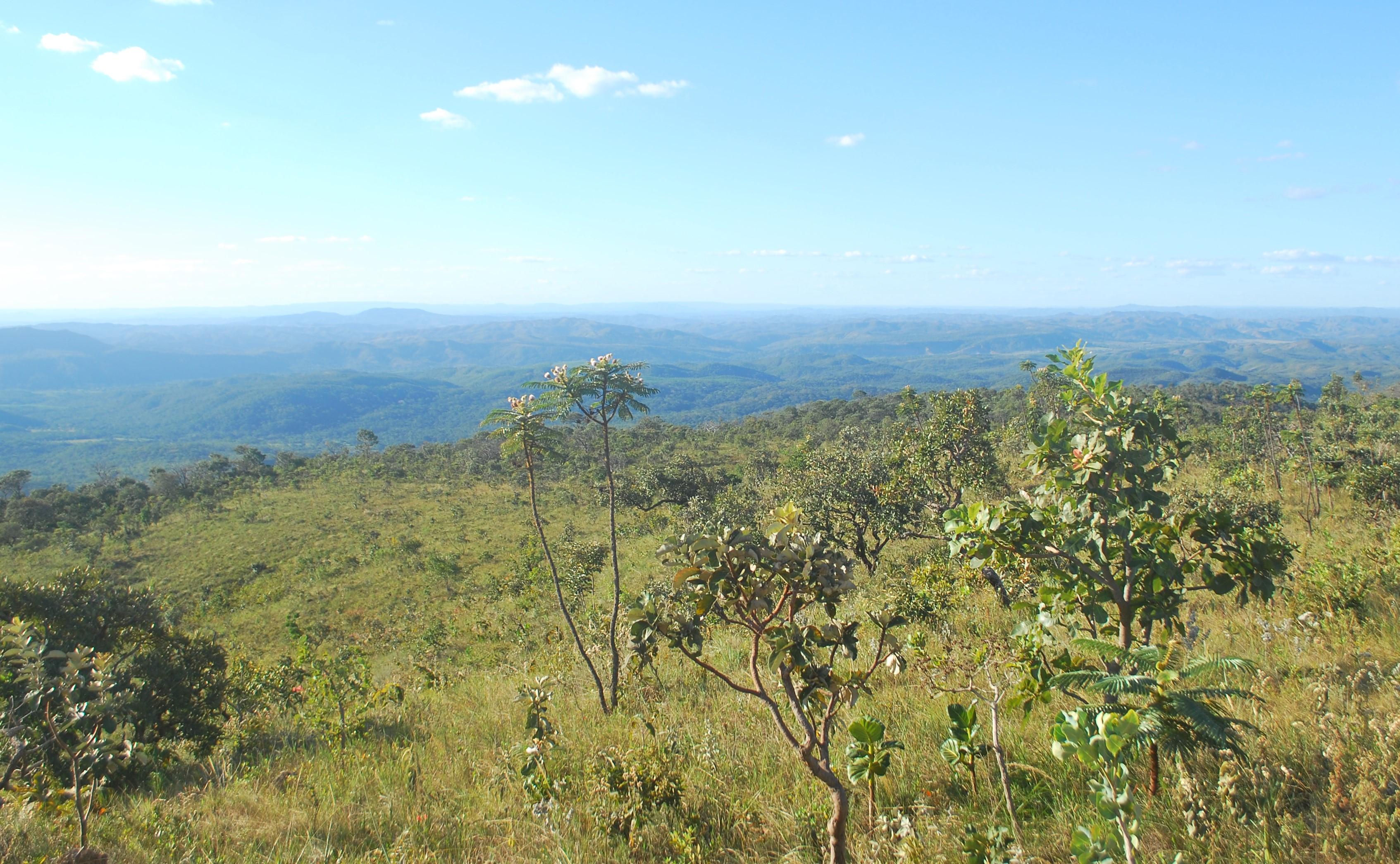 Western Mato Grosso
