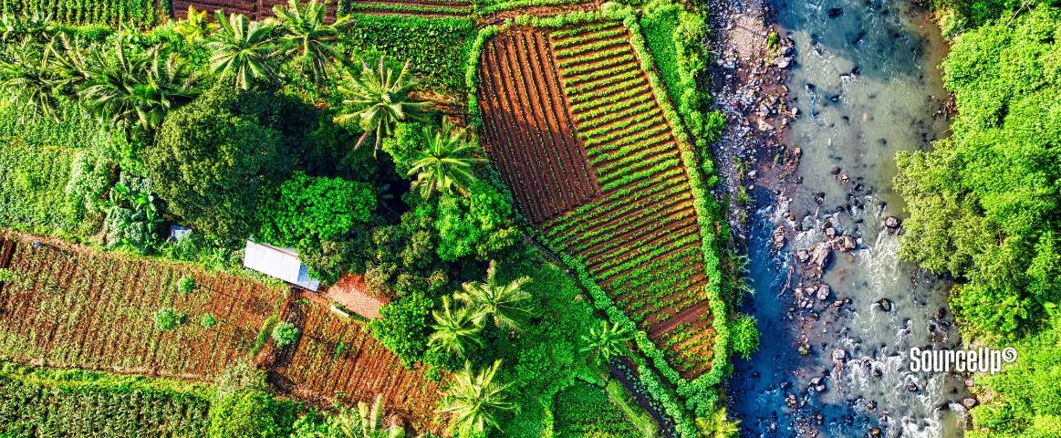 General information about Sourceup